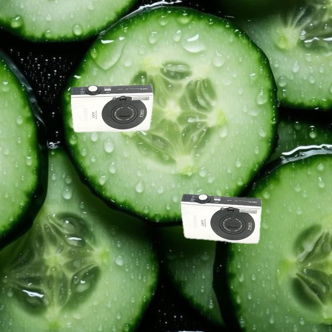 프리지아&필름색감!) Canon IXUS 70 디카 카메라 상품이미지1