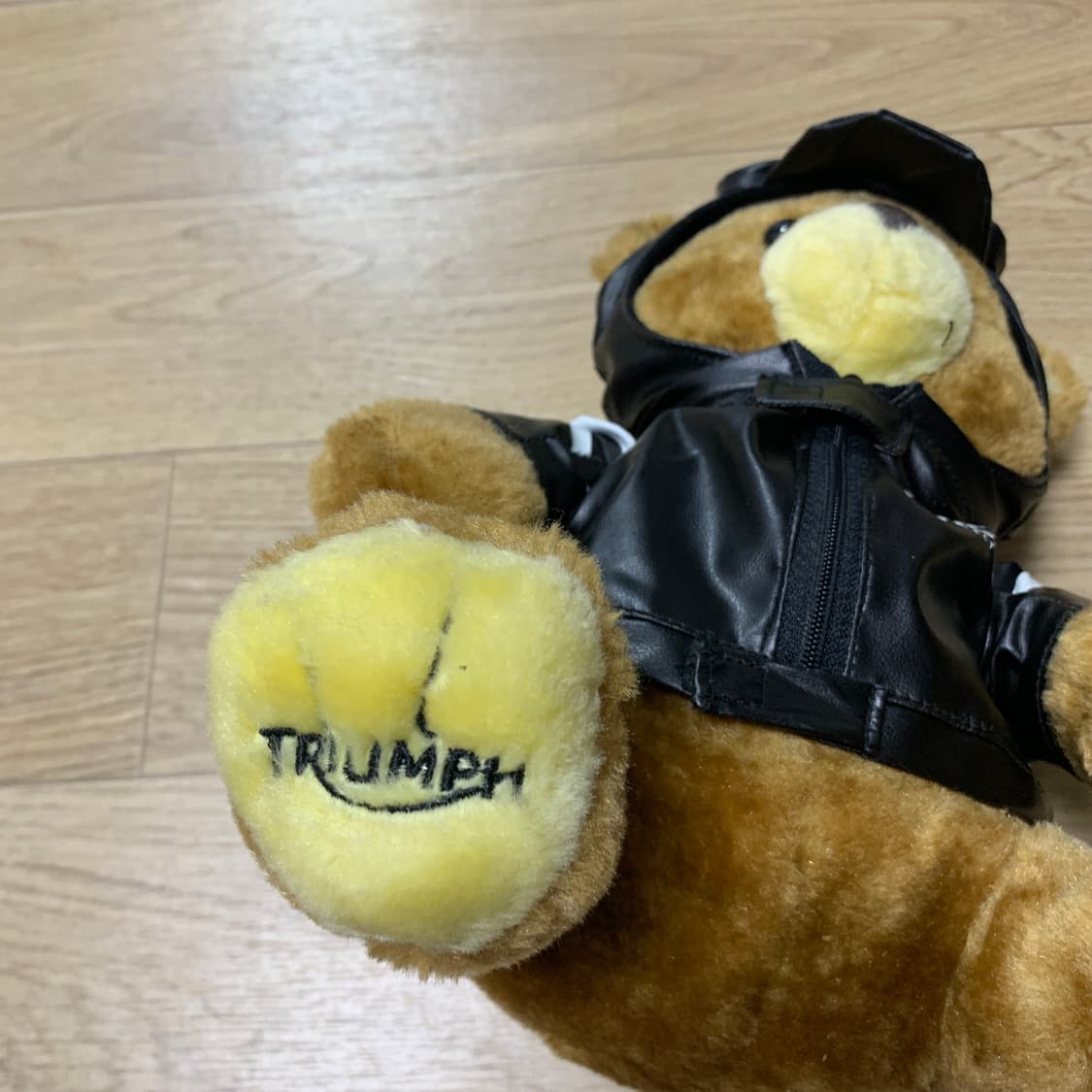 Triumph 트라이엄프 테디베어 상품이미지3