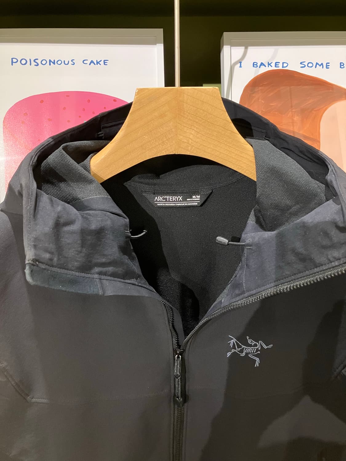 아크테릭스 감마 후디 미듐 상품이미지8