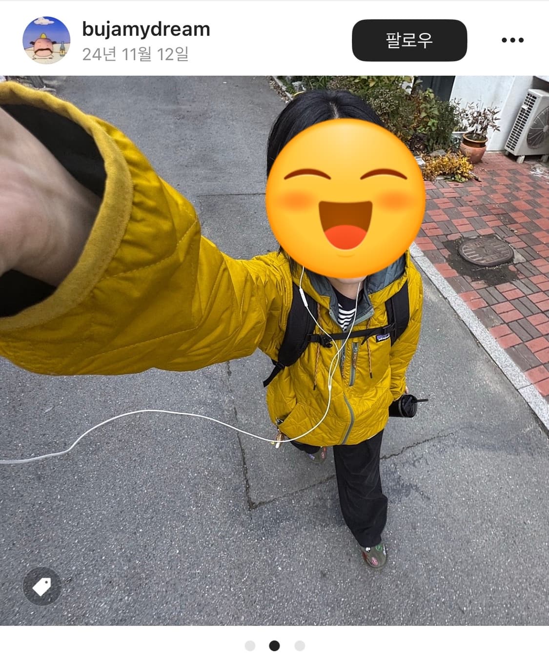 [L] 파타고니아 다이아몬드 퀼티드 봄버 붐버 후디 번들그린 경량패딩 상품이미지1