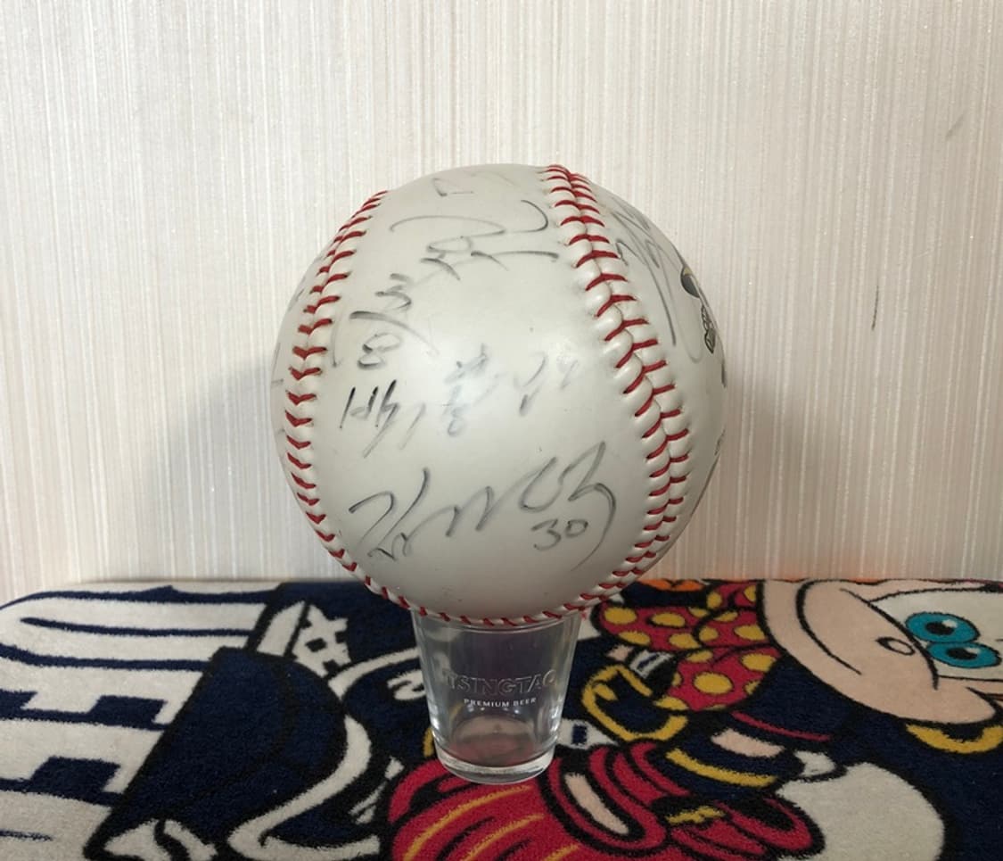 KBO 쌍방울레이더스 대형구/싸인볼 상품이미지2