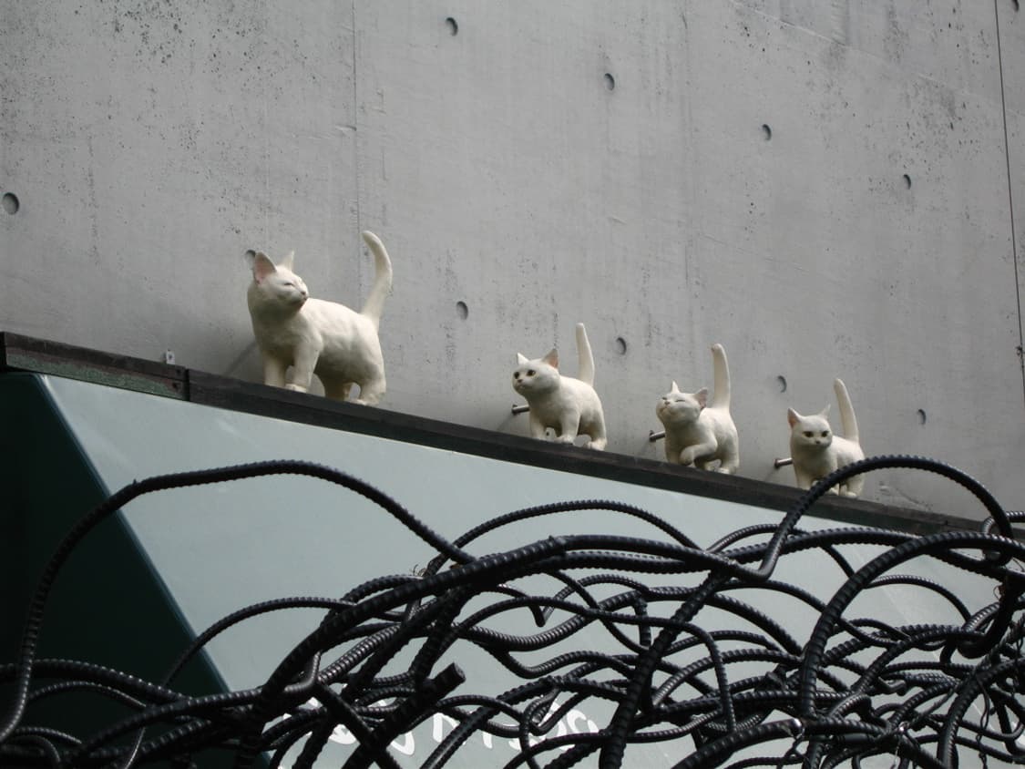 캐논 익시 Canon IXY 600(IXUS 700) 상품이미지3