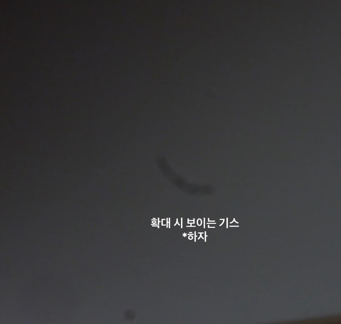 파나소닉 Panasonic lumix dmc-fh5 (크래비티 성민 카메 상품이미지7