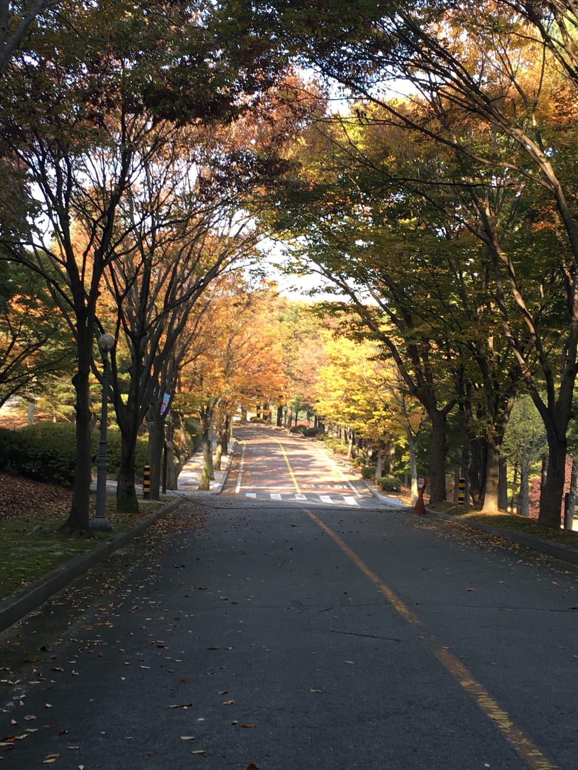 아이폰6s 64기가 배터리93퍼 로즈골드 상품이미지9