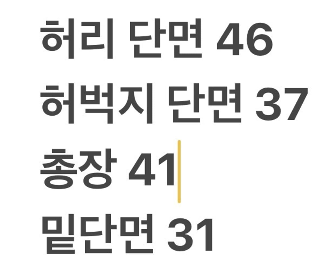 [정품/L] 라코스테 블루 반바지 b15 상품이미지9