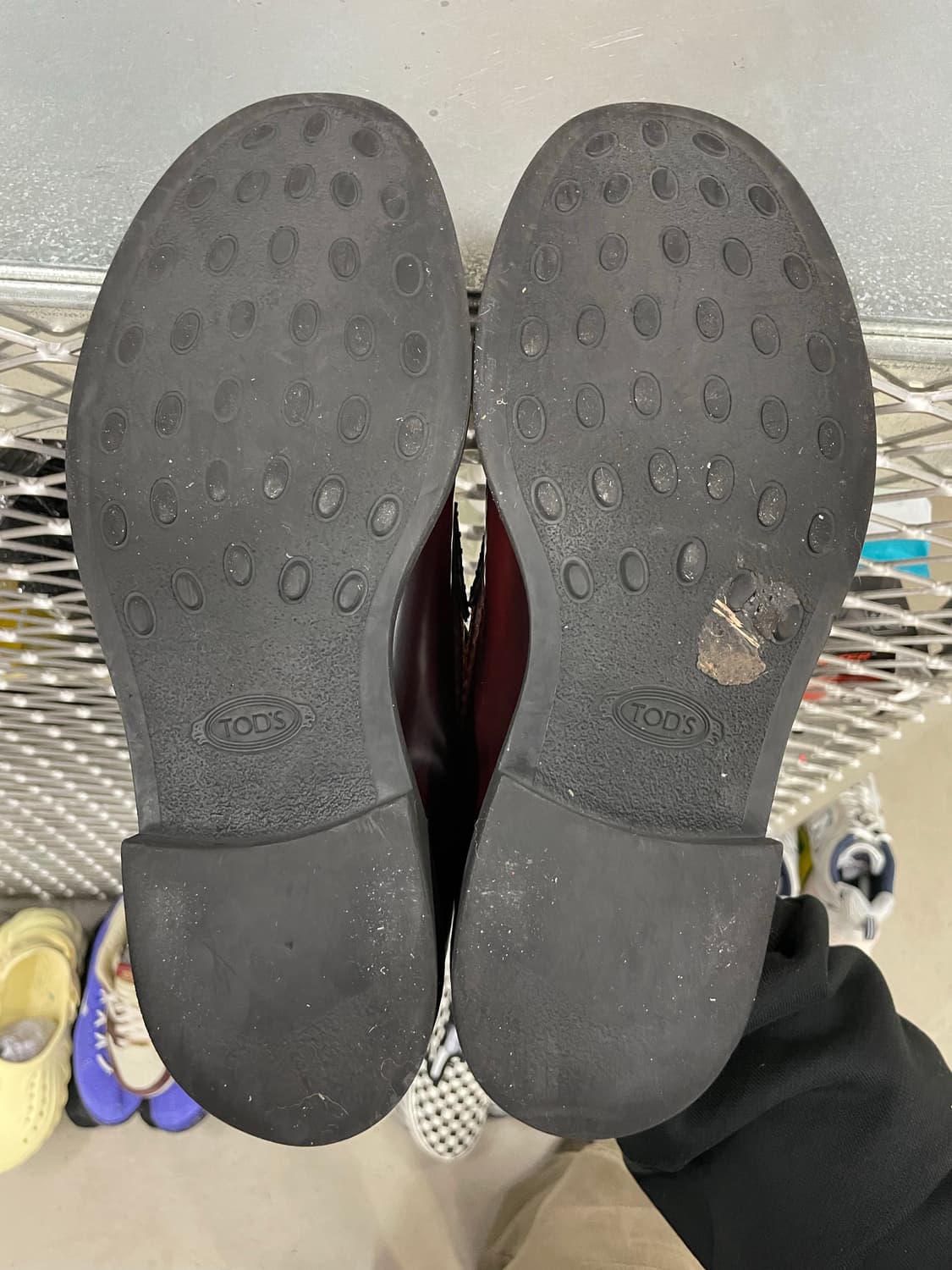 토즈 태슬 로퍼 버건디 8 (gr-4341) 상품이미지6