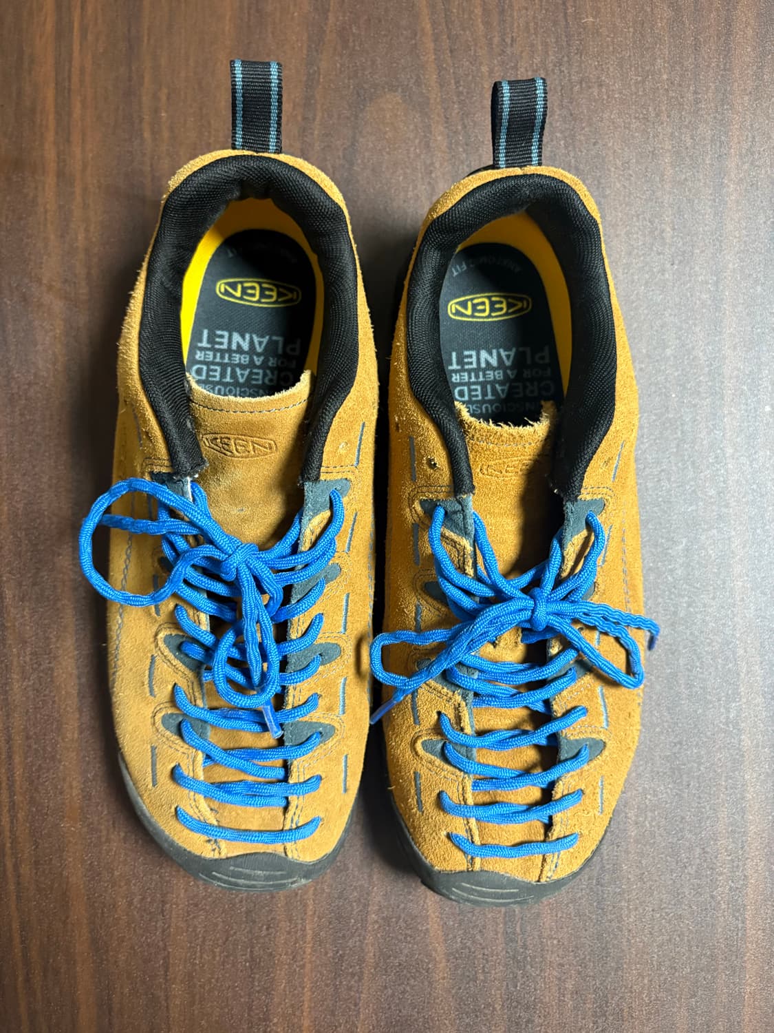 [270]킨제스퍼 상품이미지2