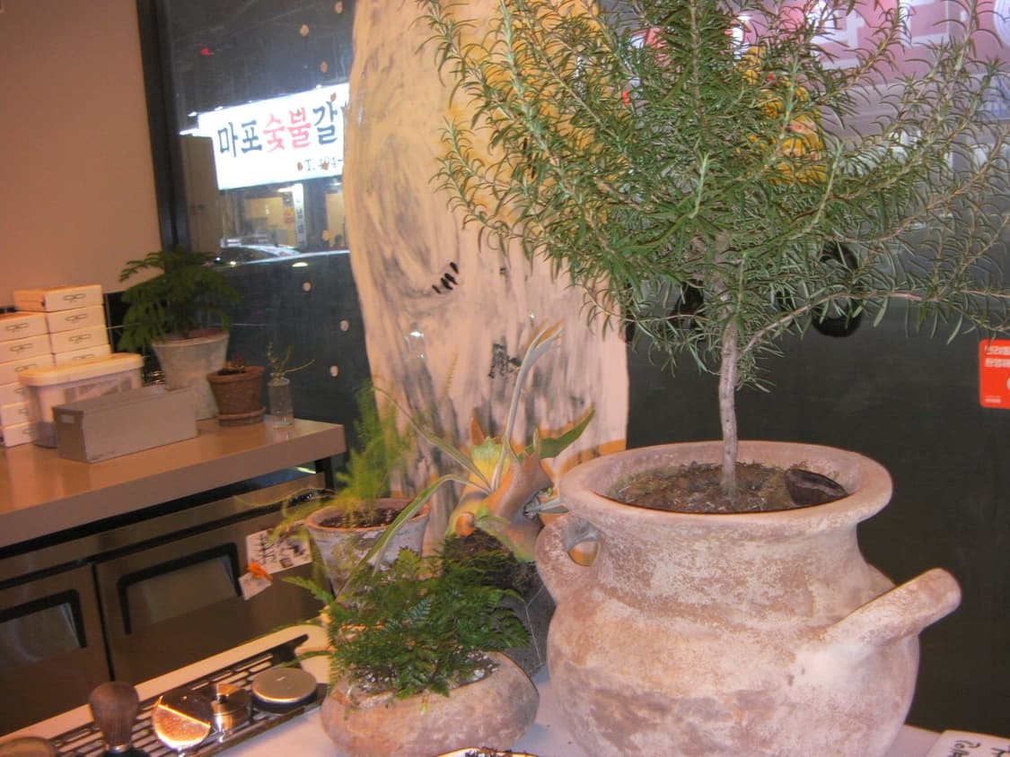 (작례!)Sanyo Xacti  CA100 캠코더 디카 상품이미지4