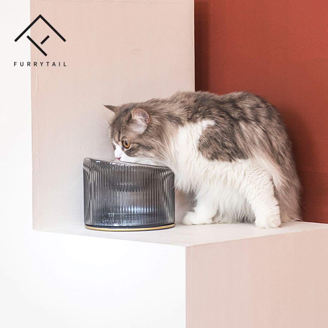 퓨리테일 고양이 유리 식기 상품이미지2