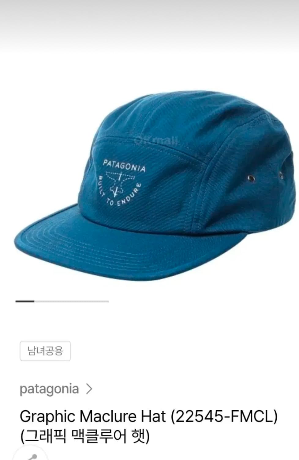 파타고니아 그래픽 맥클루어햇 블루 L사이즈 상품이미지1