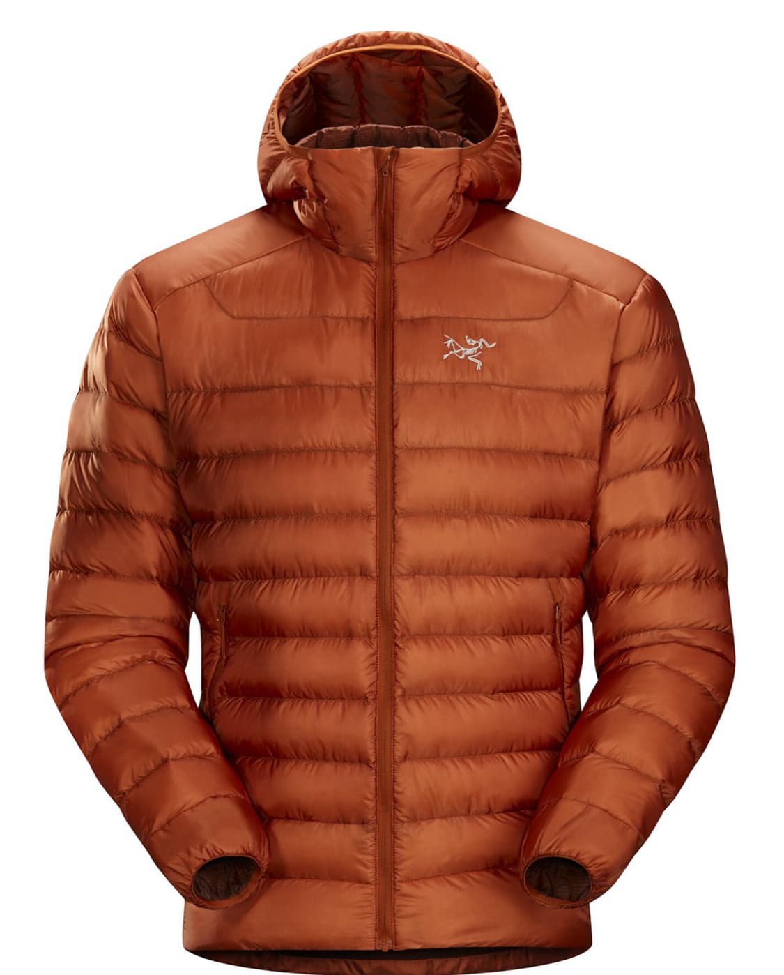 L 아크테릭스 세륨 LT 코모레비 / 후디 상품이미지5