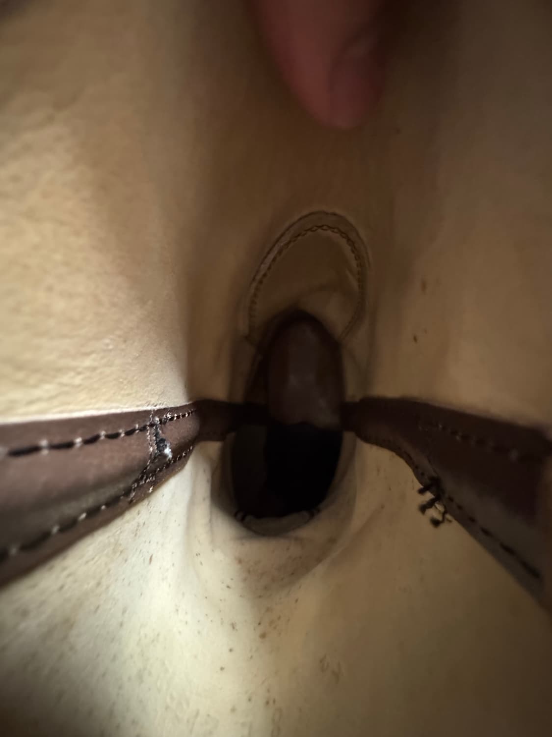 레드윙 페코스 us8 상품이미지2