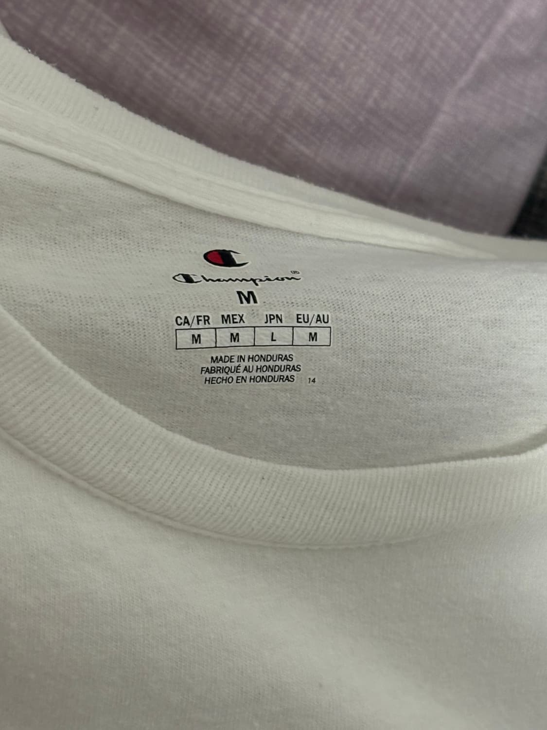 챔피온 반팔  상품이미지2