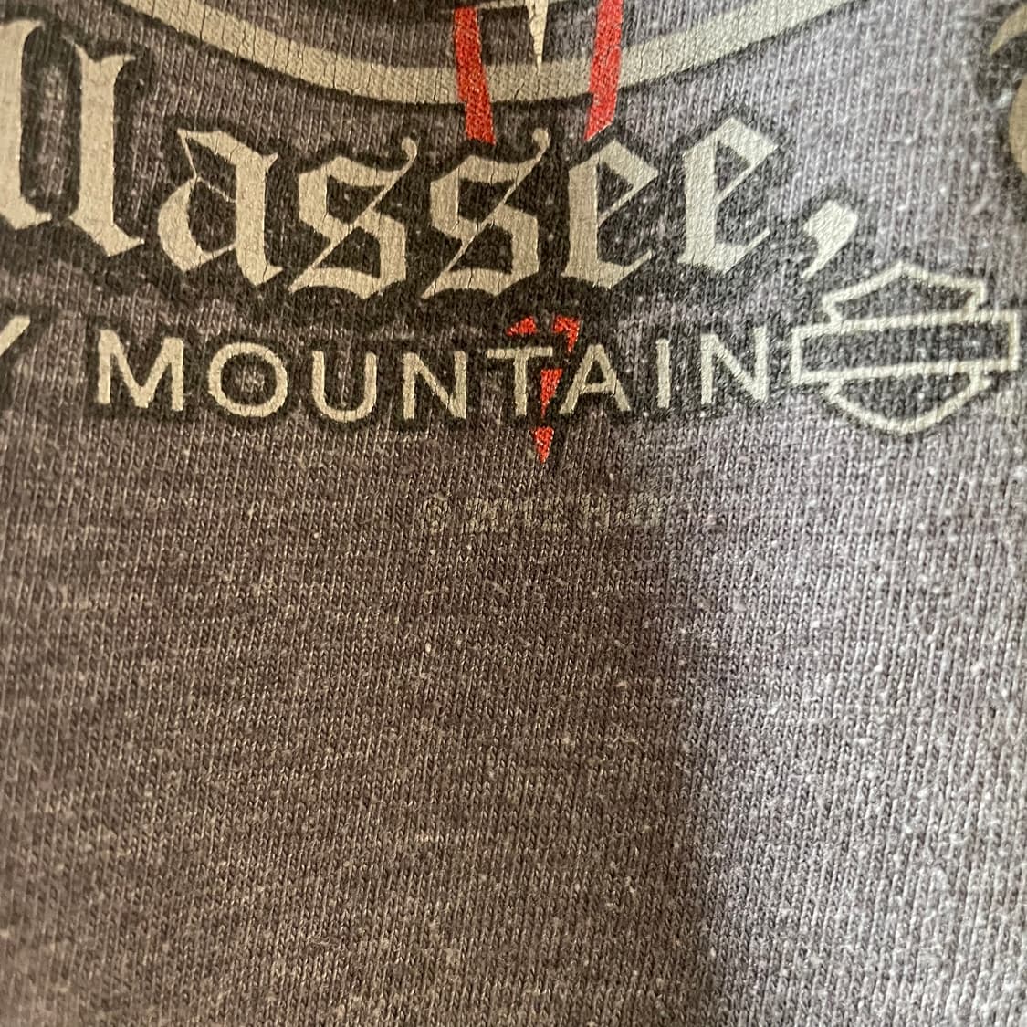 할리데이비슨 플레임 롱슬리브 상품이미지8