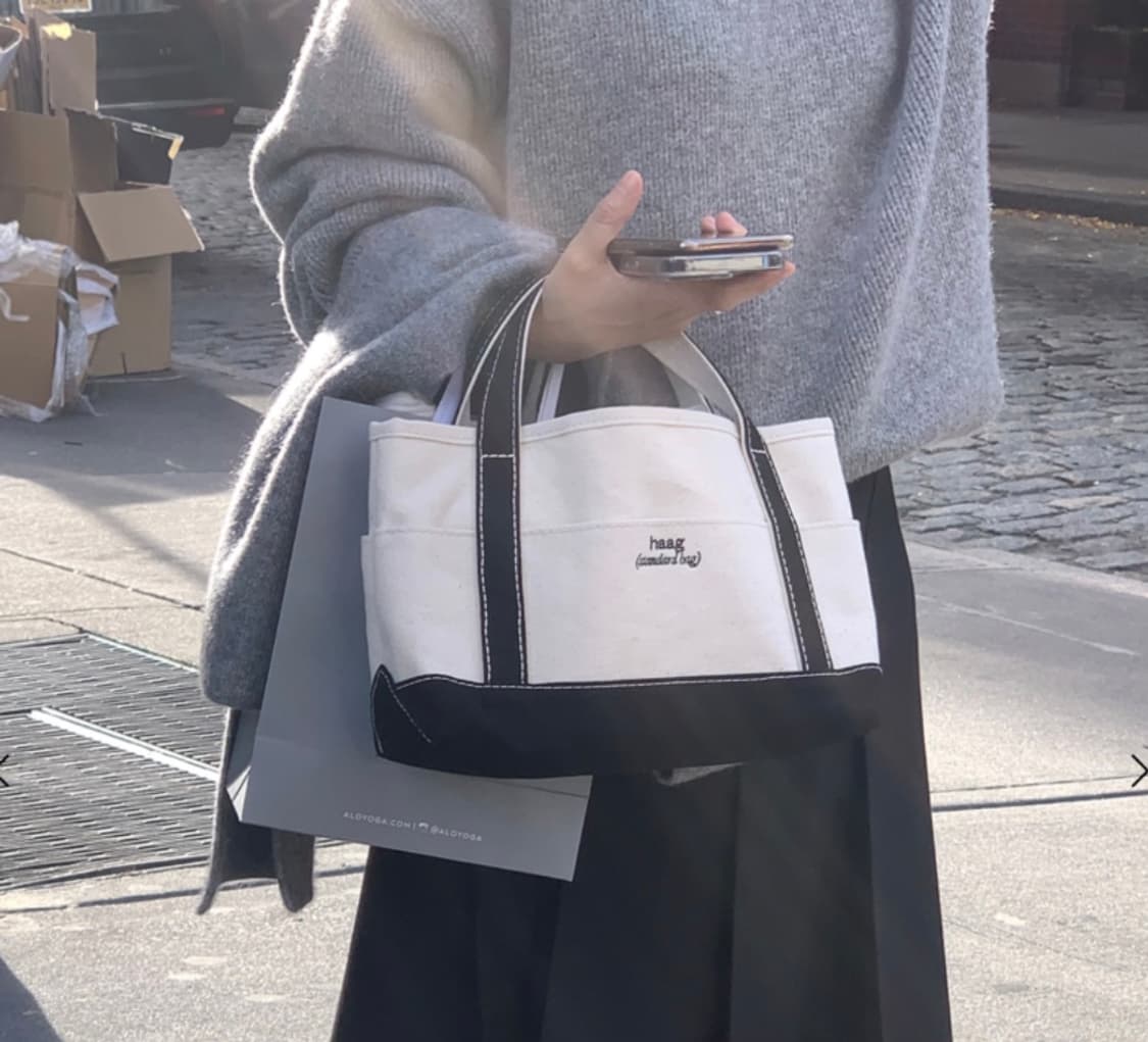 헤이그 스탠다드백 스몰 새제품 상품이미지1