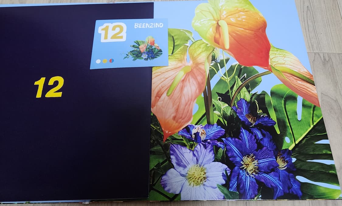 빈지노 12 LP 블랙 상품이미지4