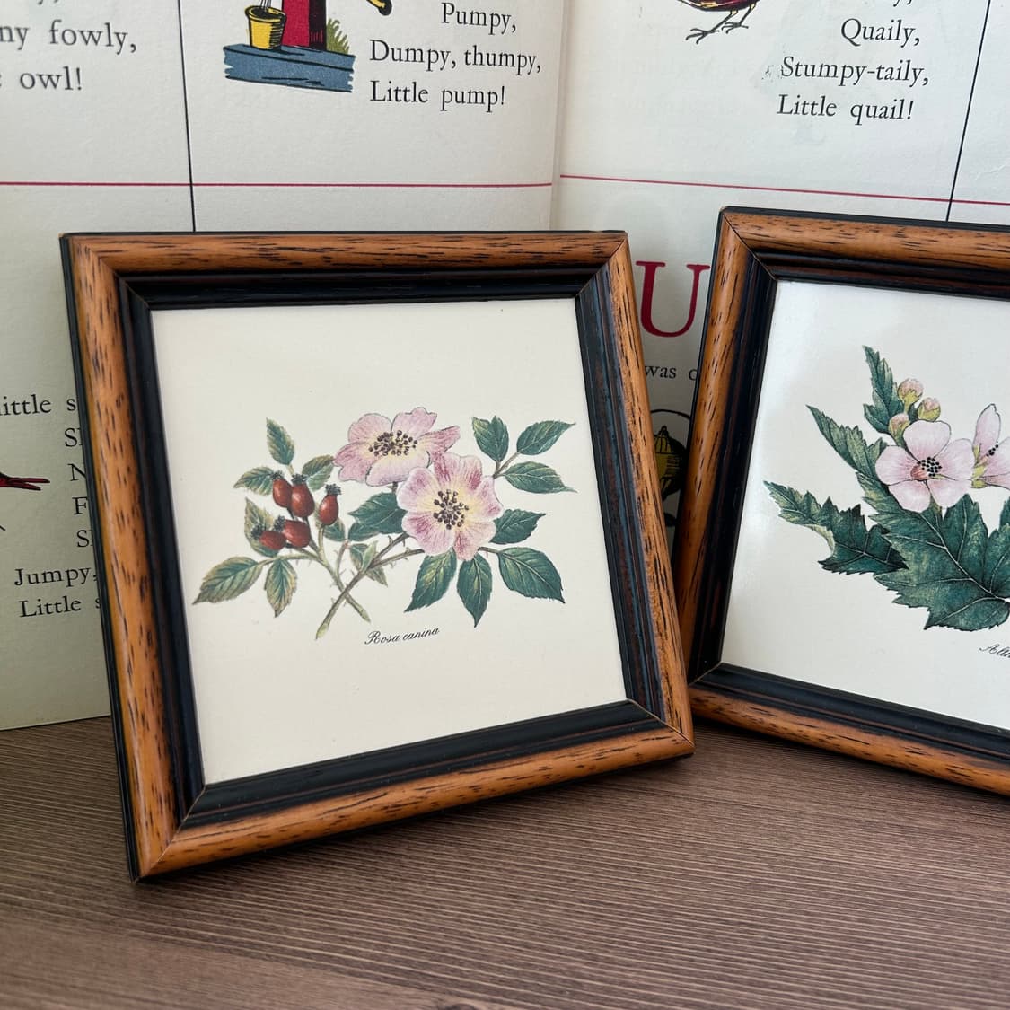 빈티지 보태니컬 꽃 액자 세트  상품이미지2