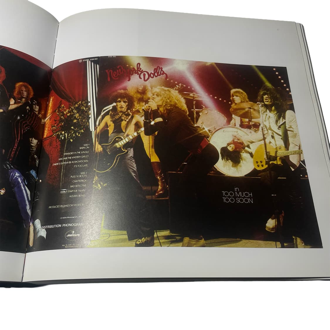 Punk Vinyls Art book - 펑크 록의 역사 상품이미지4