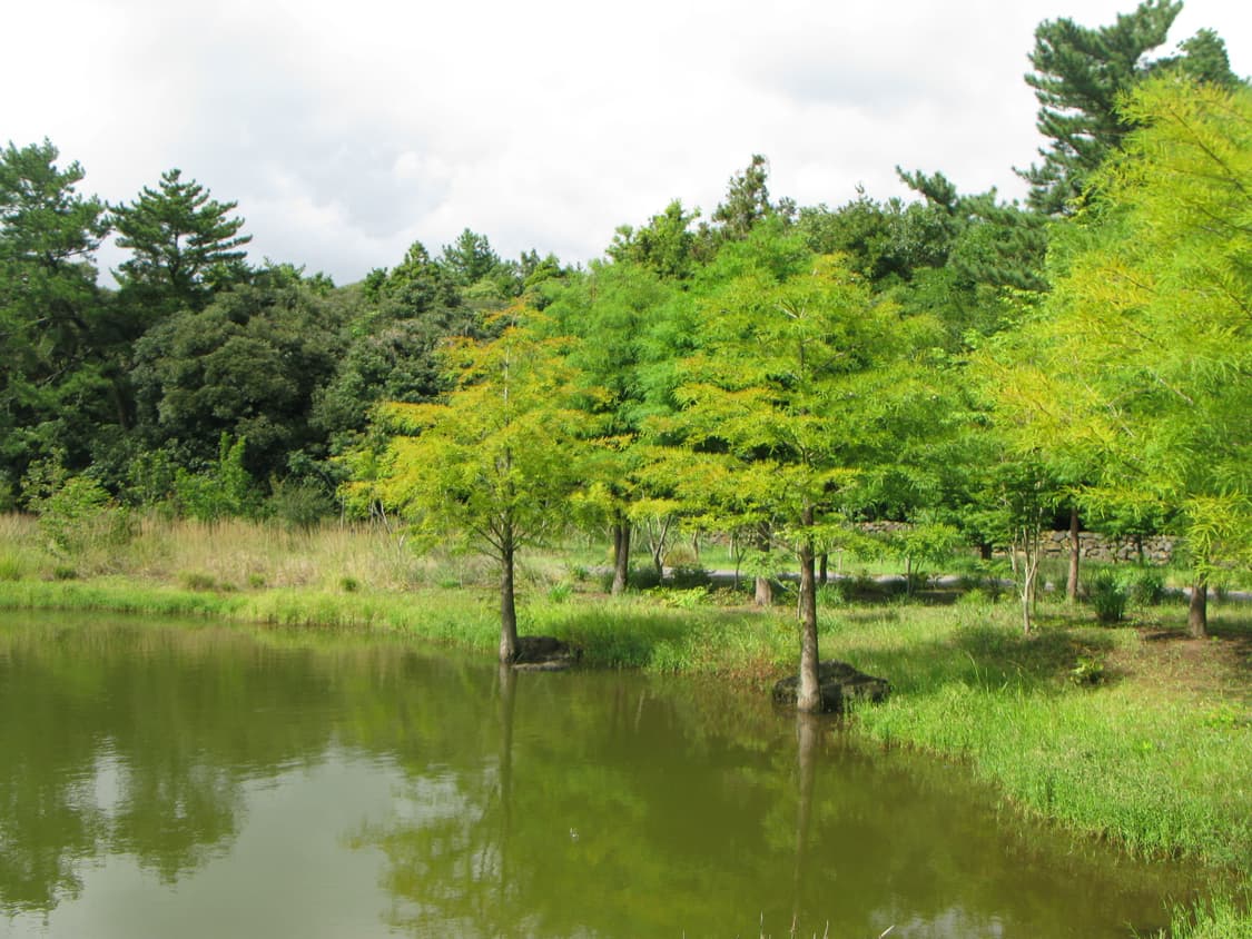 캐논 파워샷 G9 디지털 카메라 풀박스 상품이미지7