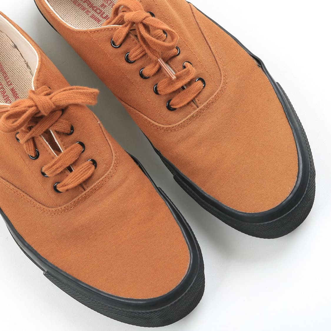 ANATOMICA 상품이미지6