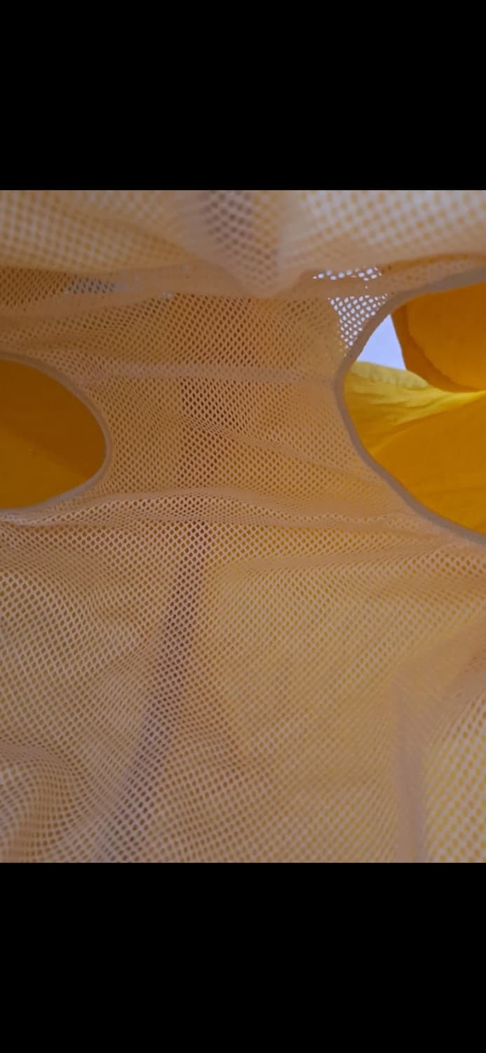 노티카 빈티지 수영복L 상품이미지3