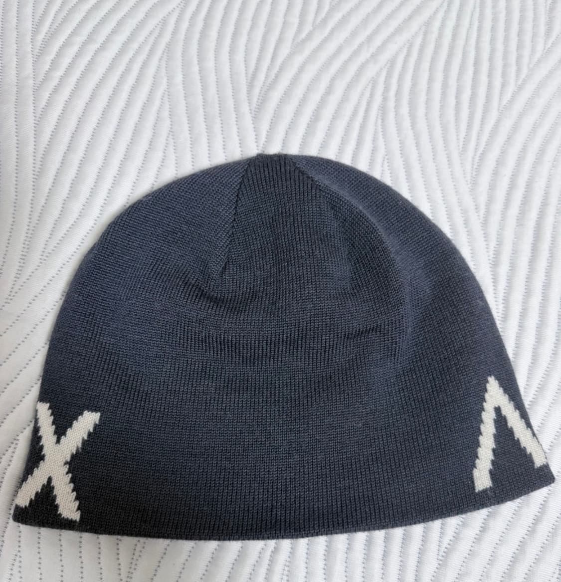 아크테릭스 비니 상품이미지2