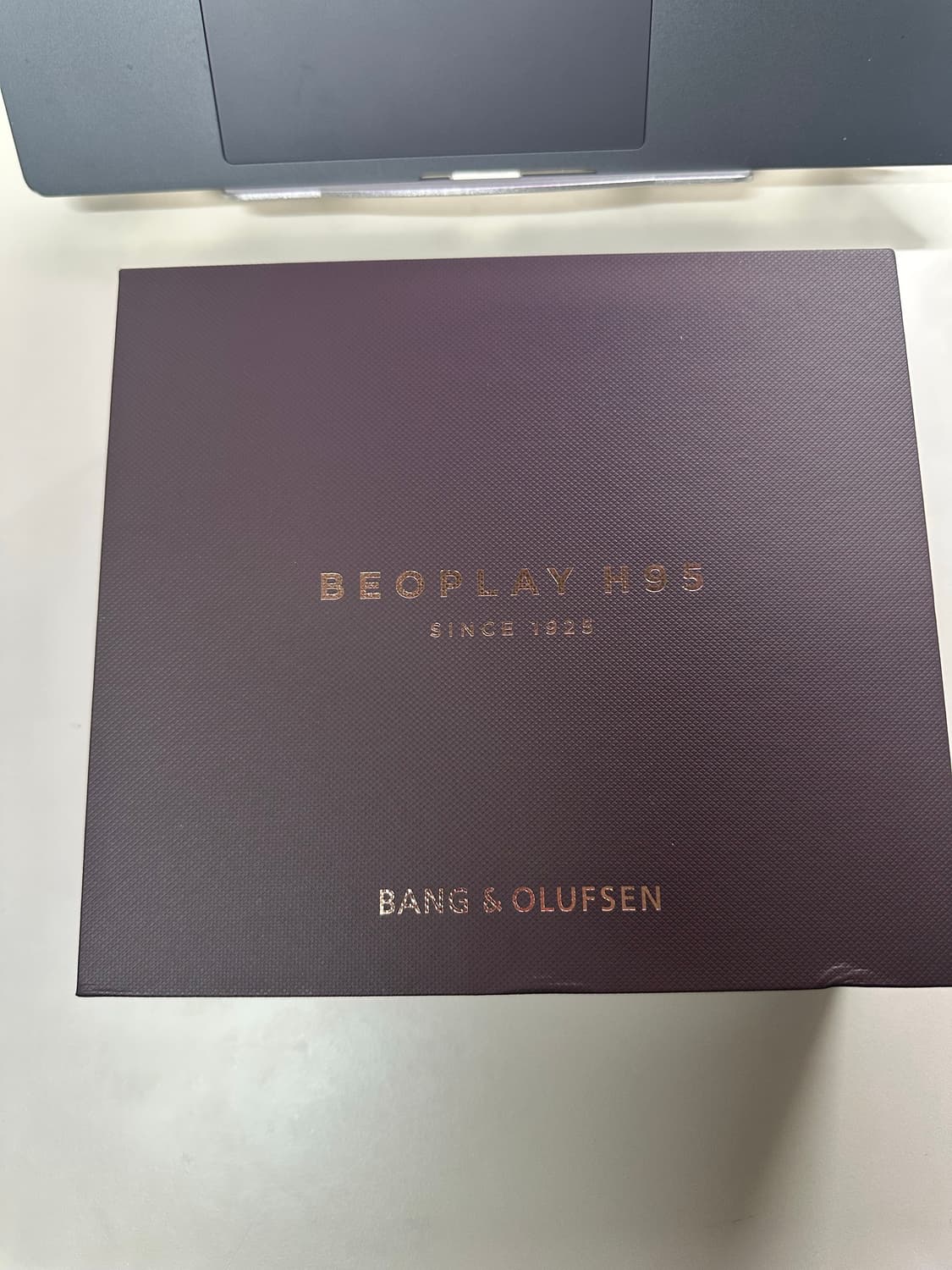 정가149->83 뱅앤올룹슨 beoplay H95 상품이미지3