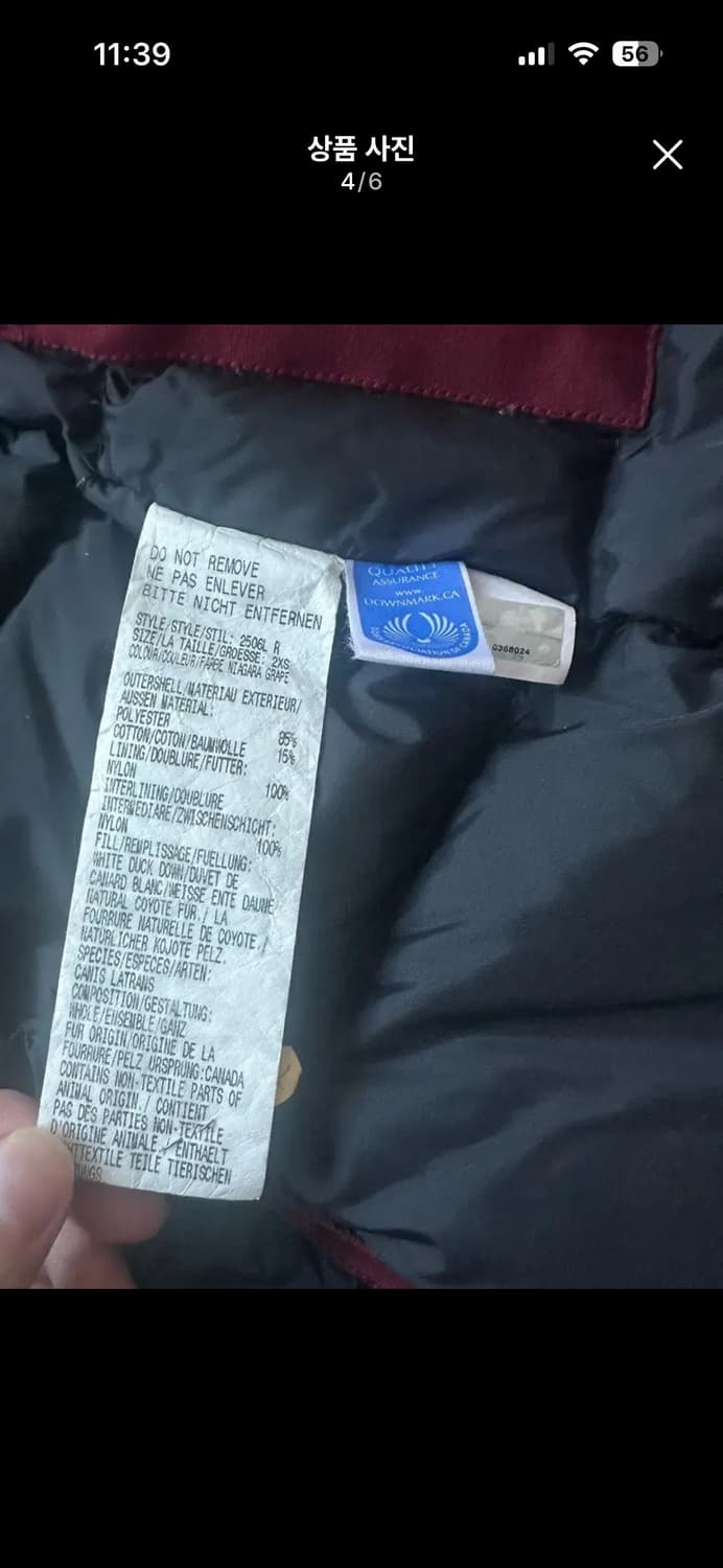 캐나다구스 캔싱턴 여성 패딩 2XS 버건디 오늘만 급처 상품이미지4