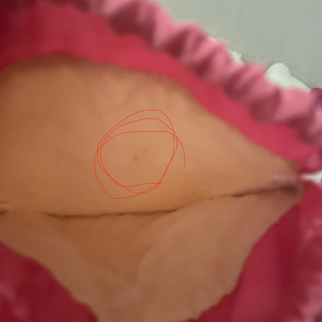 고전 딸기 복조리 파우치 상품이미지3