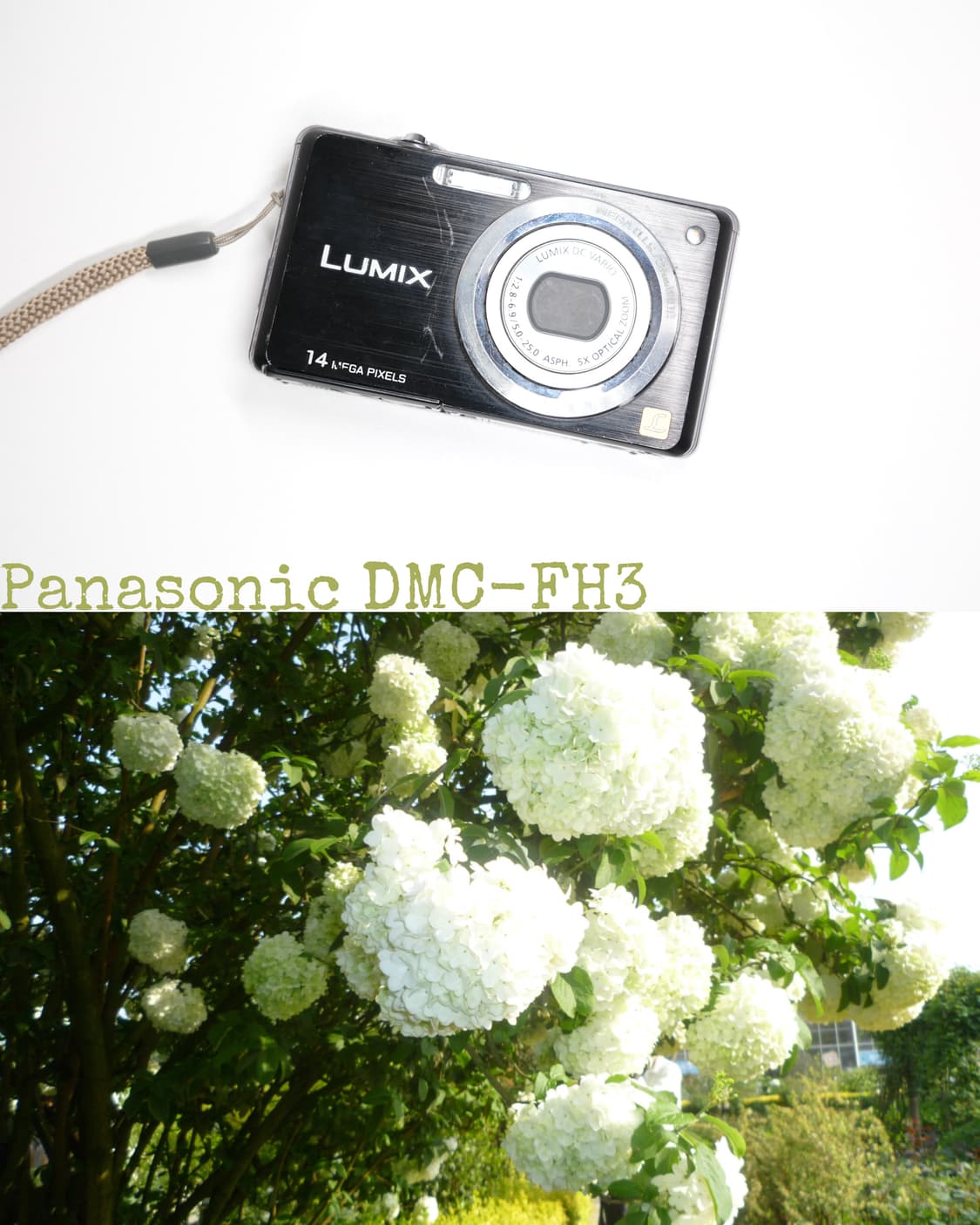 Panasonic DMC-FH3 상품이미지1