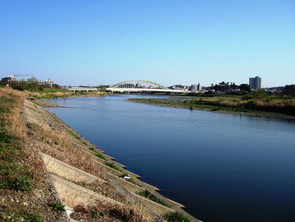 소니 사이버샷 Sony Cyber-shot DSC-N1 실버 상품이미지3