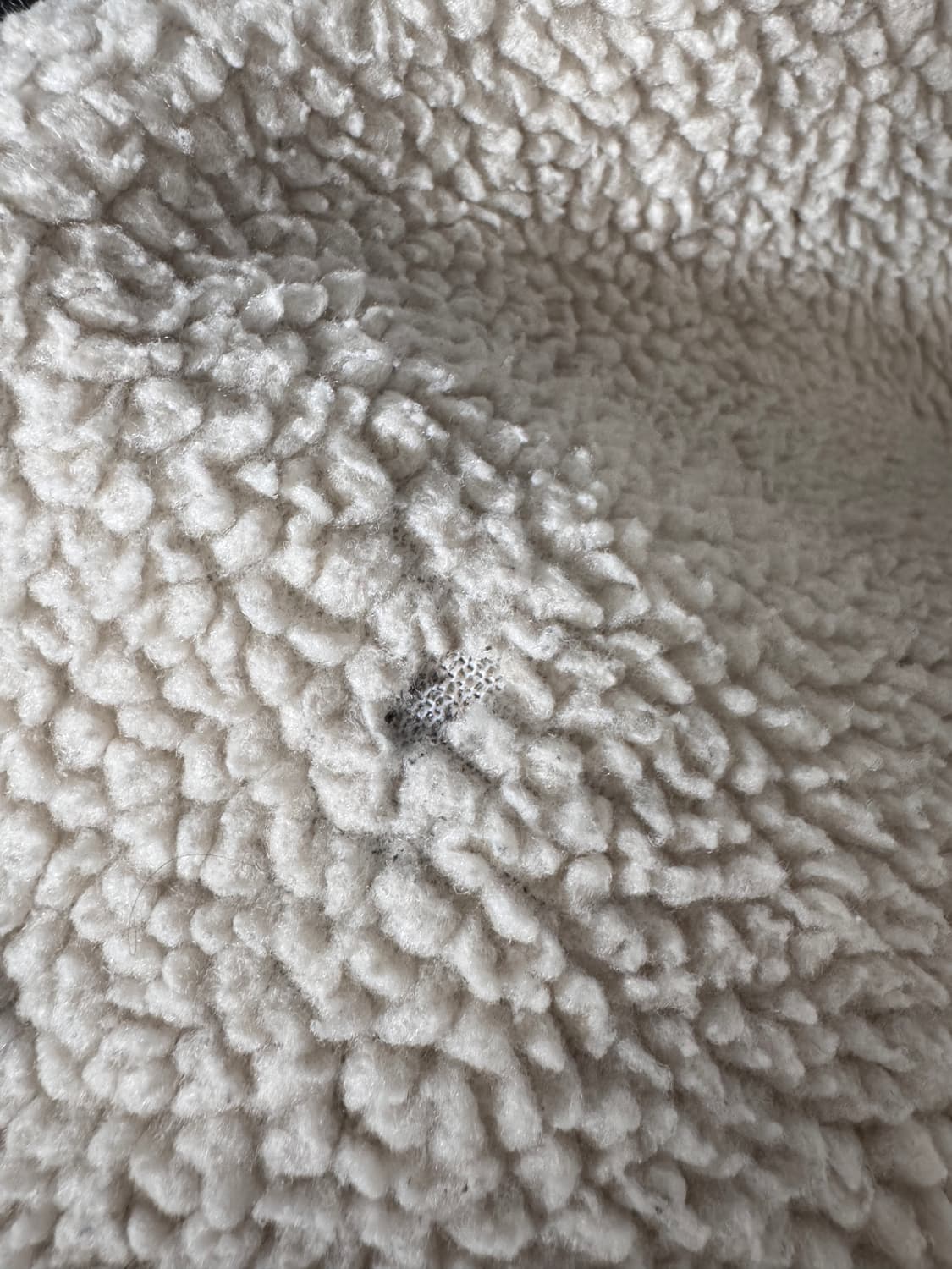 파타고니아 레트로X 레전드 그린 xs 상품이미지7