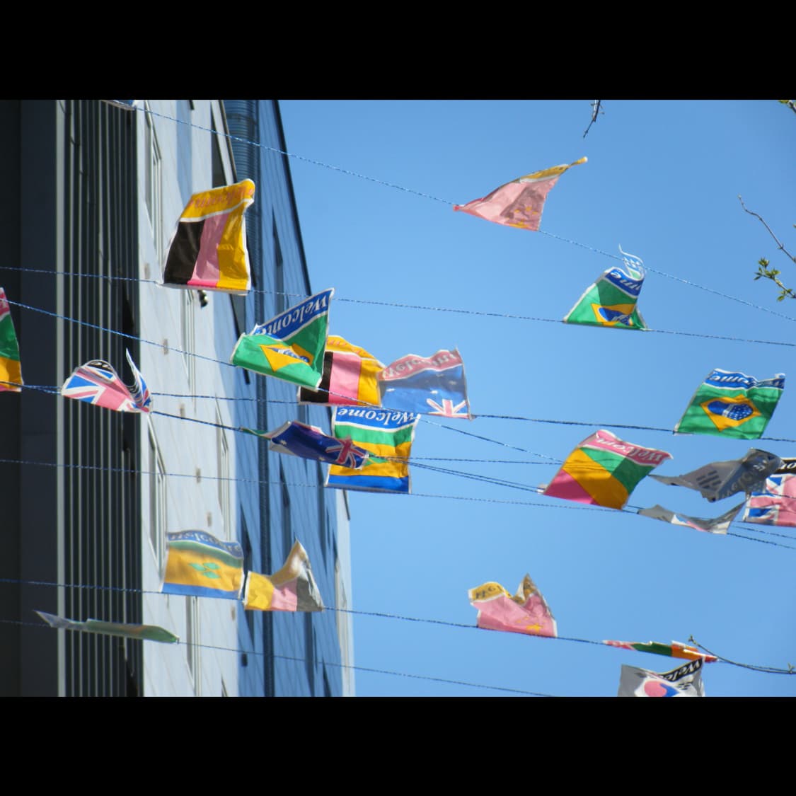 작례⭕️ 후지 파인픽스 Z 250 FD 상품이미지2