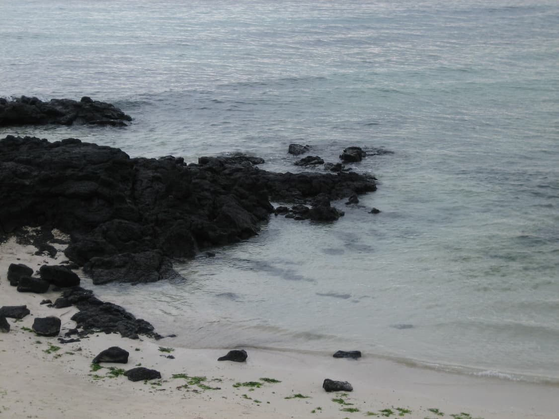 캐논 PowerShot SD400 (=ixus50) 상품이미지7