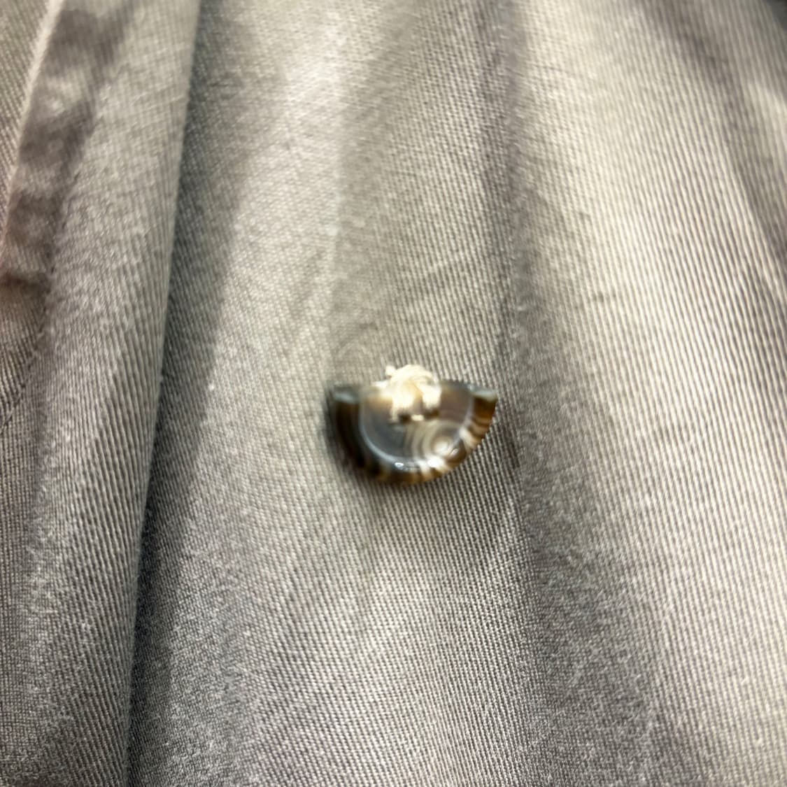 크리스찬 디올 더블 트렌치 코트 버건디 울 안감 허리 벨트 디테일 브라운 상품이미지8