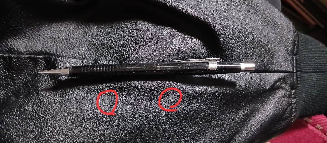 20FW 조던 알레일리 바시티자켓 상품이미지8