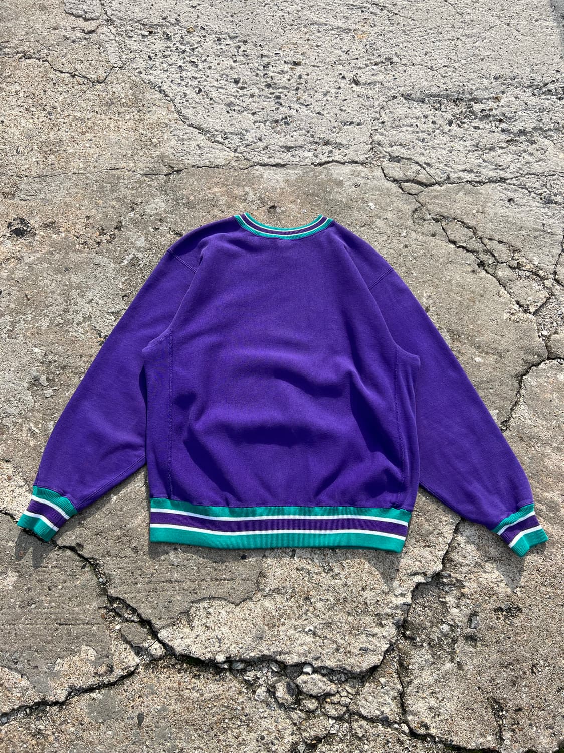 1990s Champion reverse weave 상품이미지2