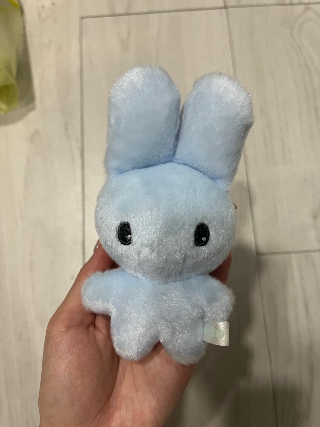 지초이 지토 블루 상품이미지1