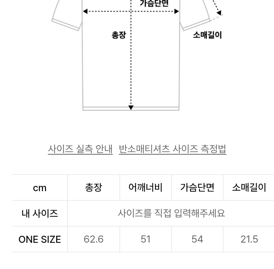 레시토 디스트로이드 오버사이즈 로고 반팔 티셔츠 상품이미지4