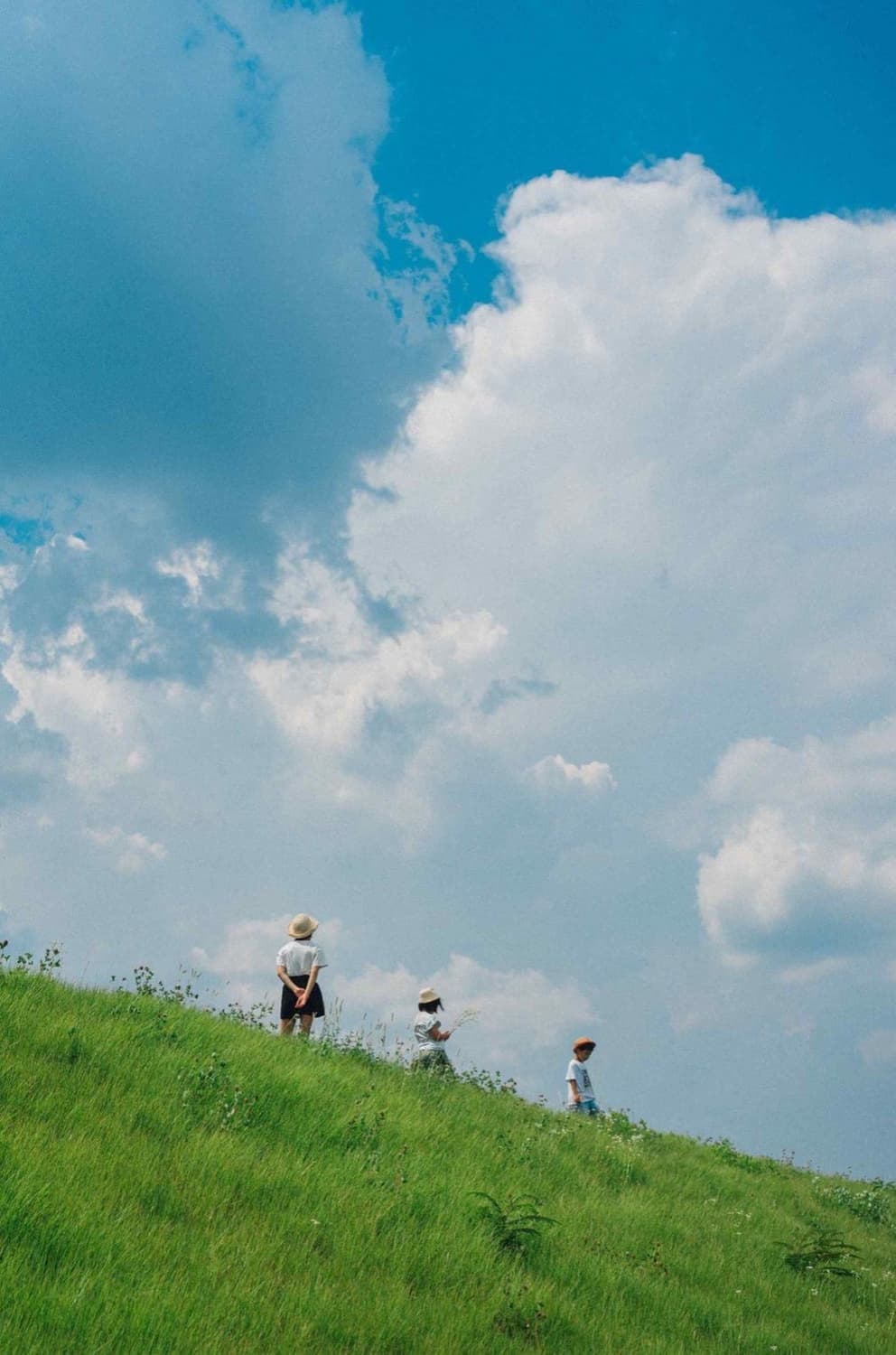 * 3/30(월)~4/4(토) 기간, 배송이 어렵습니다. 상품이미지1