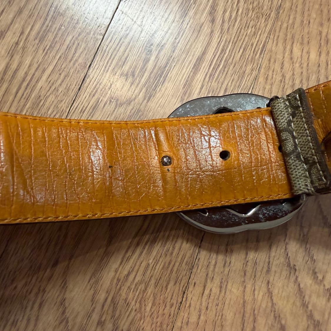 구찌 인터로킹 G 버클 벨트 상품이미지4