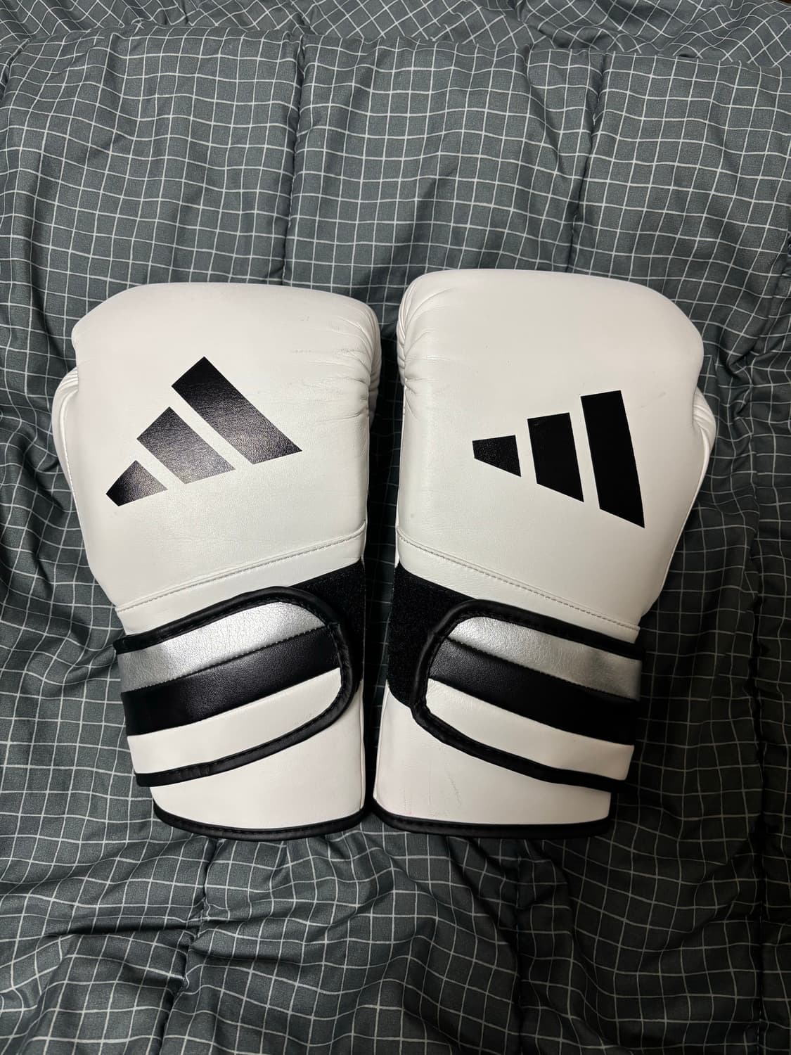  아디스피드 501 복싱 글러브 16온스 상품이미지1