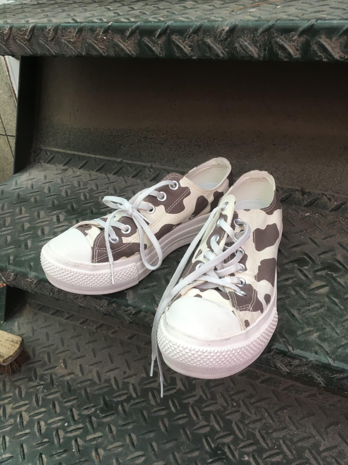 컨버스 카우패턴 240 상품이미지2