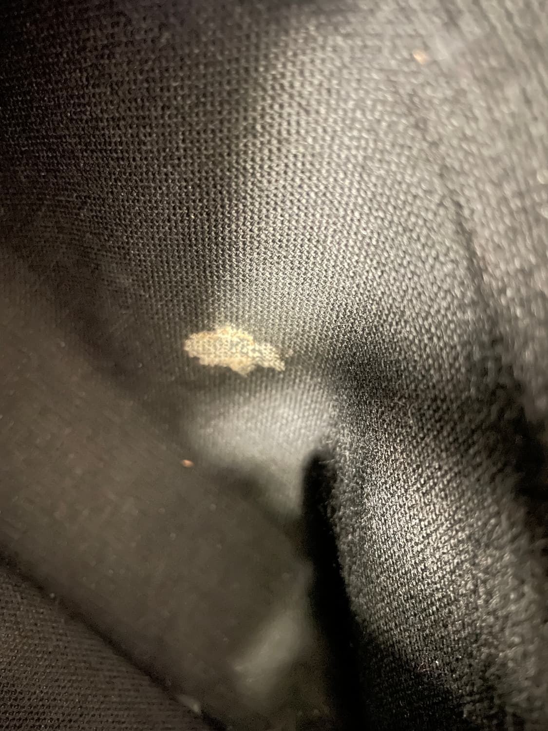 버버리 노바 체크 PVC 토트백 상품이미지7