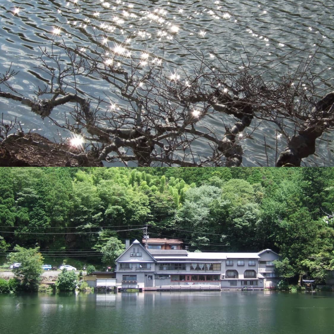 후지필름 파인픽스 finepix f11 상품이미지2