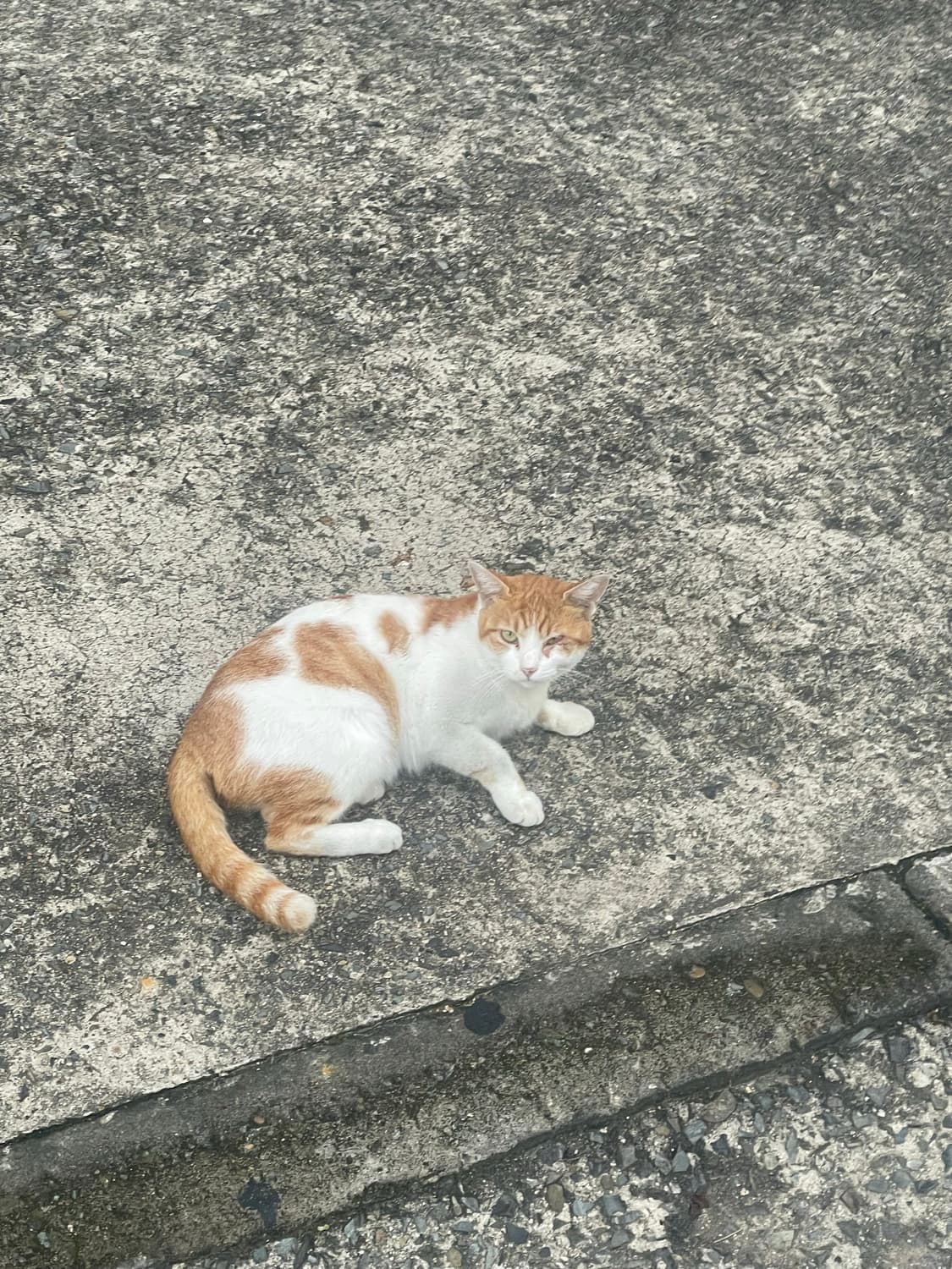 건투님 결제창 상품이미지1