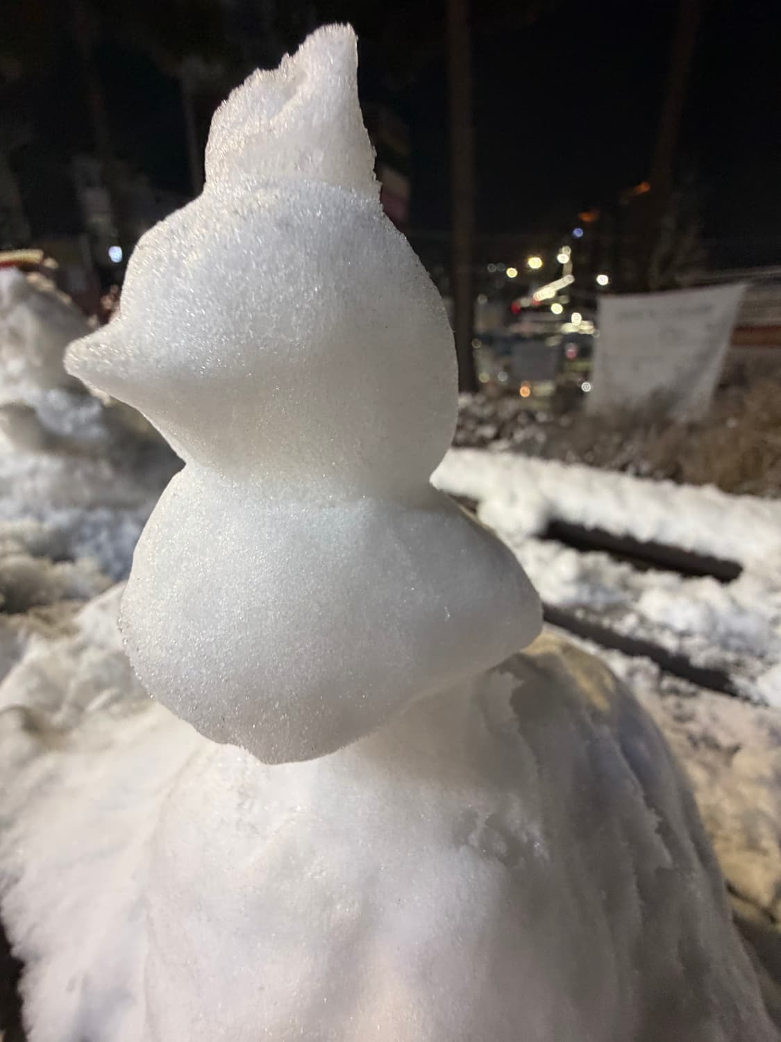 냐냥먀먀먕냥 님 개인거래창 상품이미지1