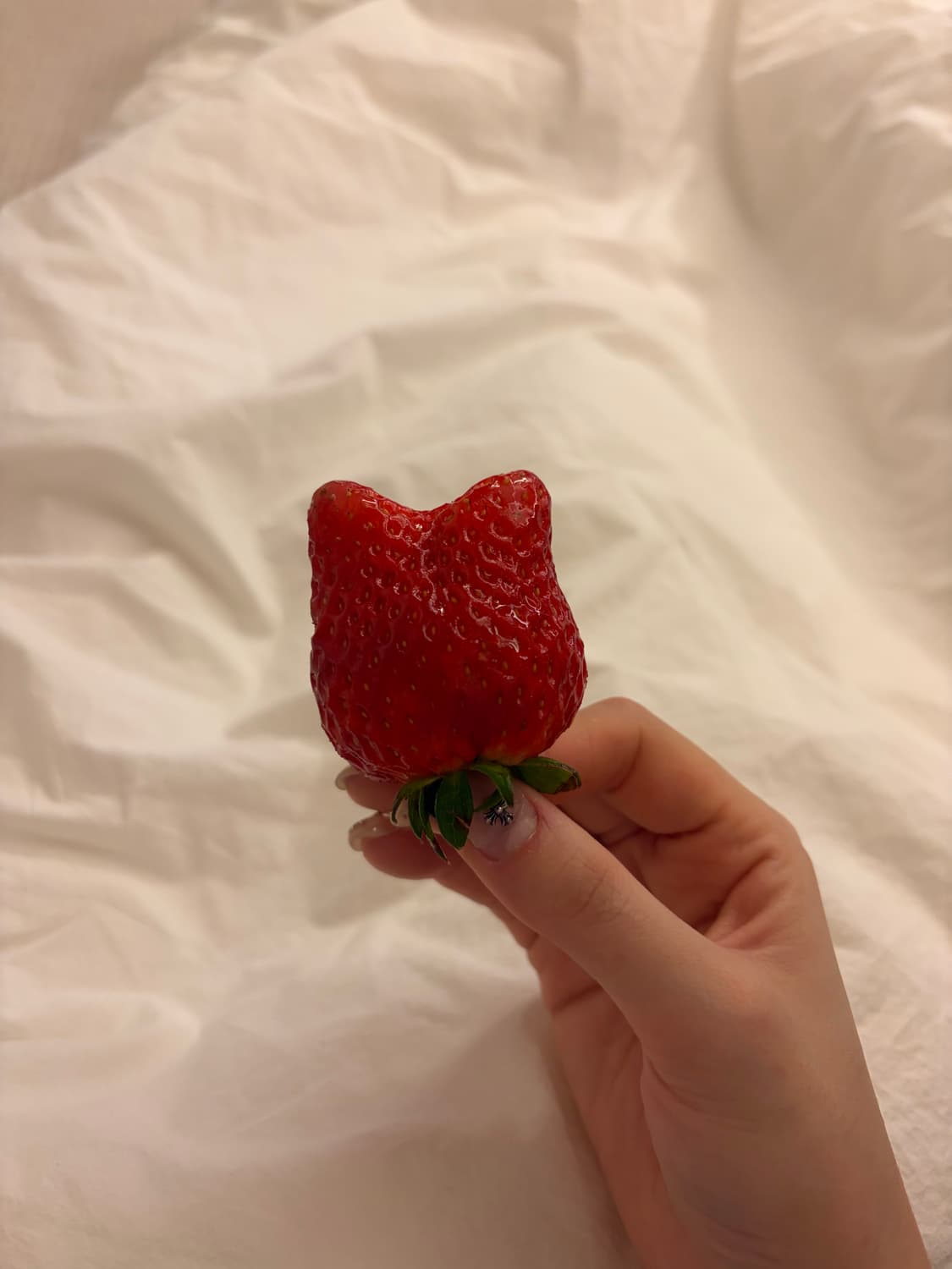 결제창 상품이미지1