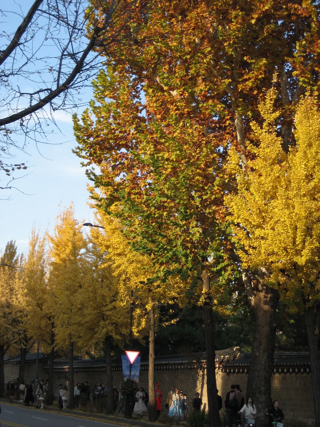 캐논 ixy70 ixus60 상품이미지9