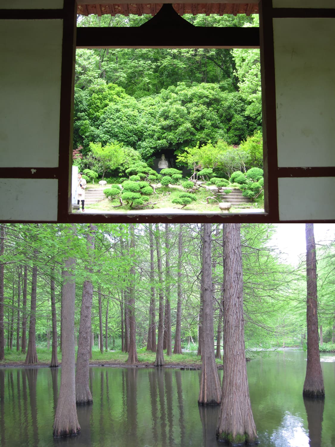 Casio EX-S770 상품이미지3